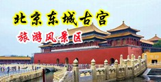 黑丝被操的爽歪歪中国北京-东城古宫旅游风景区